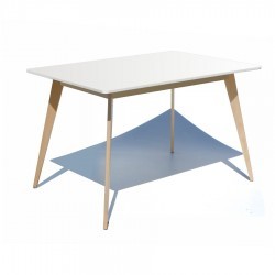 Mesa Praktika 80x120